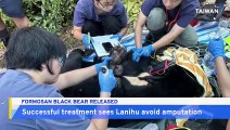 Formosan Black Bear Released Back Into Wild After Successful Rehabilitation