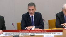 100% Sénat - TotalEnergies : Rodolphe Saadé, PDG de CMA-CGM auditionné
