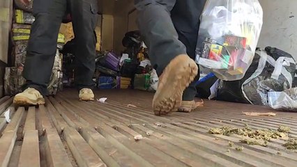 Polícia Civil realiza operação para incinerar 10 toneladas de drogas apreendidas em Cascavel e região