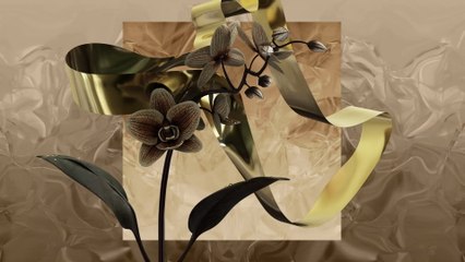 Roman Nagel - Canon in D (Visualizer)