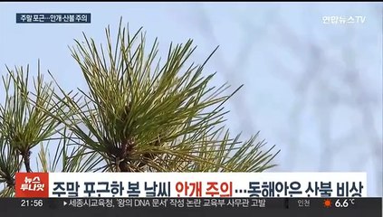 주말 포근한 봄 날씨, 안개 주의…동해안은 산불 비상