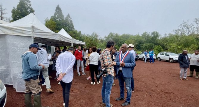 Serres anticycloniques à la Plaine-des-Palmistes : Le goyavier sur le gâteau