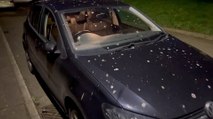 Village Under Siege: Residents Battle Invasion of Starlings and Bird Poo