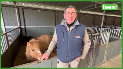 "Animal sans Toit" agrandit son refuge à Viemme