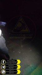 Conductor de tráiler causa accidente por quedarse dormido