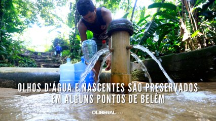 Olhos d'água e nascentes são preservados em alguns pontos de Belém