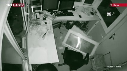 Güvenlik kulübesinin davetsiz misafirleri