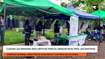 Llegan las semanas más críticas para el dengue en el país los motivos