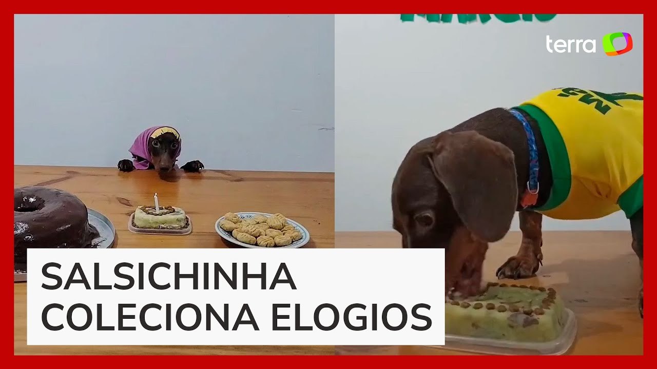 Festas temáticas de mêsversário para cachorrinho viralizam nas redes sociais