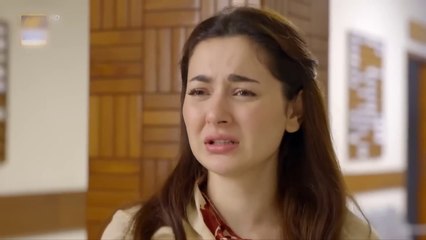 Mere Humsafar EP- 37 Full Episode