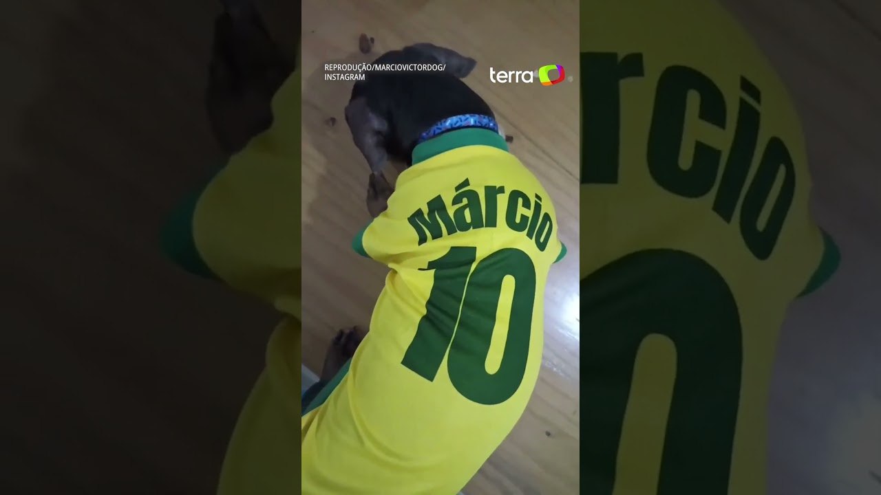 Cãozinho ganha festas temáticas de mêsversário e viraliza nas rede sociais #shorts