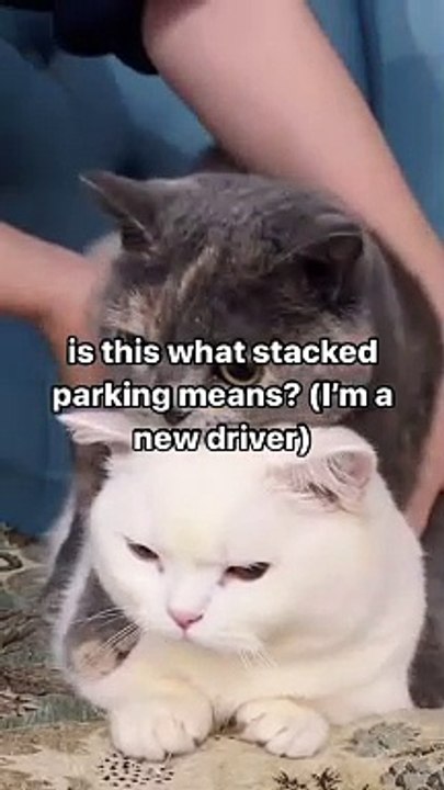 brutal car pile up