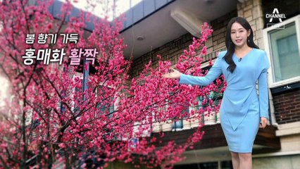 [날씨]아침 춥고 한낮 포근…공기 질 회복