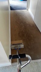 Cracking carpet cleaning