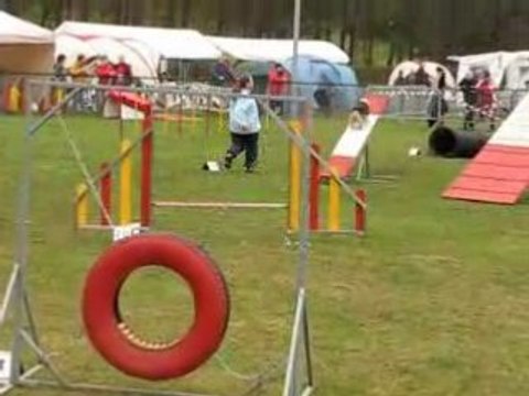 St avold alice tara gpf 160308