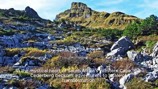 Journey to the Cederberg Unveiling the Hidden Gem of South Africa's Wilderness