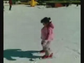 Chasse-neige