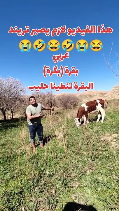 البقرة تنطينا حليب بلكوردي وبلتركماني #وسام_بترول #تحشيش_وضحك