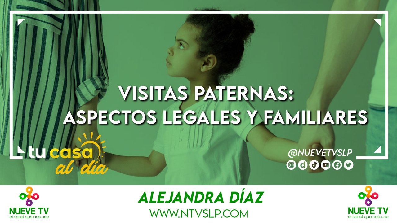 Visitas Paternas: Aspectos Legales y Familiares