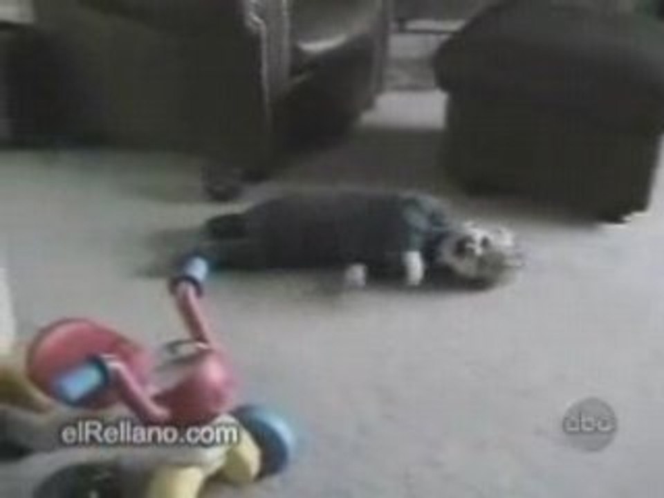 Faites la rencontre de enjoy75 sur pointscommuns