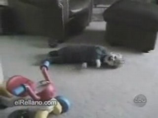 Faites la rencontre de enjoy75 sur pointscommuns