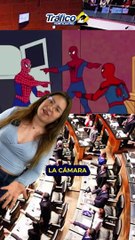 ¿Cuál es la función del Senado, por qué y para qué existe? Toda la información con Vanessa Sánchez