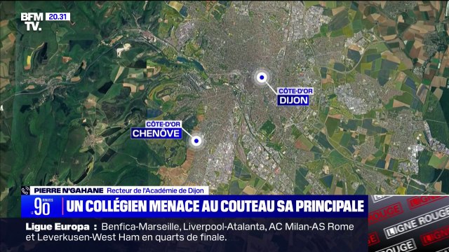 Collégien qui a menacé sa principale avec un couteau: Cet élève est arrivé pour un cours d'anglais duquel il avait été exclu selon le recteur de l'académie de Dijon