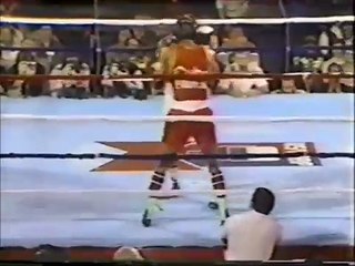 Pablo Romero vs Evander Holyfield II
