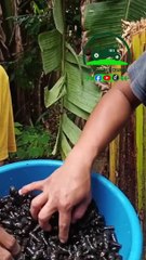 Sosong malaki ang benipisyo