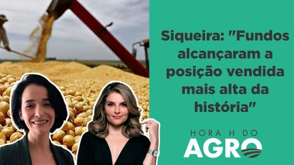 Soja tem ponto de virada; preço vai subir mais? | HORA H DO AGRO