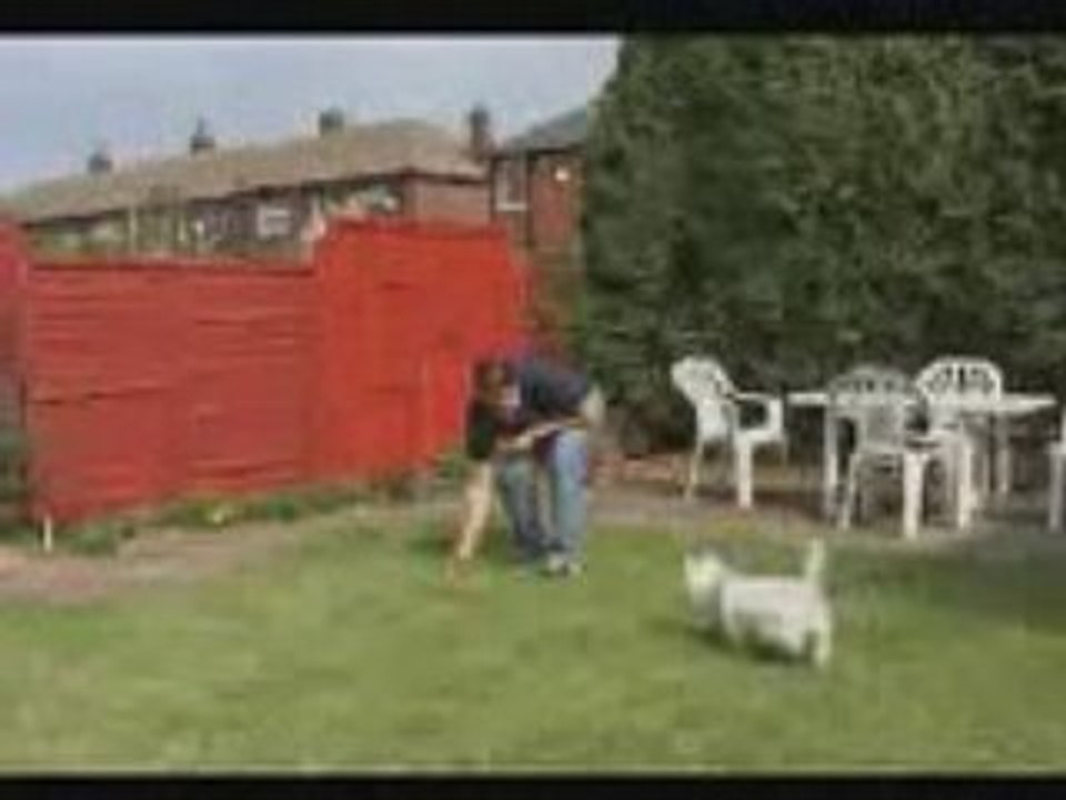 Chien