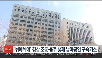"뉘예뉘예" 경찰 조롱·음주 행패 남아공인 구속기소