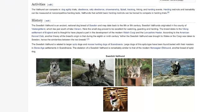 I Paid 5 Fiverr Gigs $1,000 To Design The SAME T Shirt