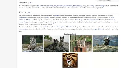 I Paid 5 Fiverr Gigs $1,000 To Design The SAME T Shirt