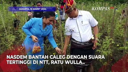 Download Video: Nasdem Soal Ratu Wulla Mundur dari Caleg: Inisiatif Sendiri hingga Dapat Tugas Khusus dari Ketum