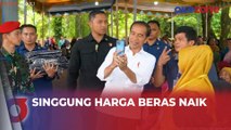 Berkunjung ke Padang Lawas, Jokowi Serahkan Bantuan Pangan