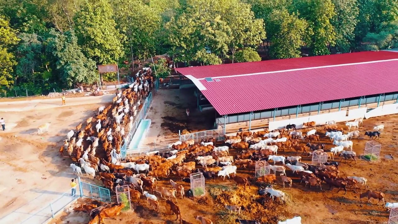 JEEV SEVA MAHA SEVA, SHREE KRISHNAYAN DESI GAURAKSHA, KAILASH KHER FOUNDATION, MAHARAJ, KAILASH KHER