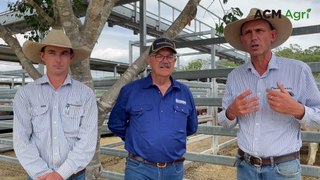 Glenapp inaugural weaner sale results | March 16, 2024 | Queensland Country Life