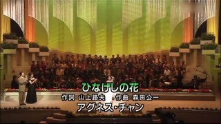 アグネス・チャン--ひなげしの花 [音質向上Ver.] / 昭和歌謡曲ベストヒット大全集