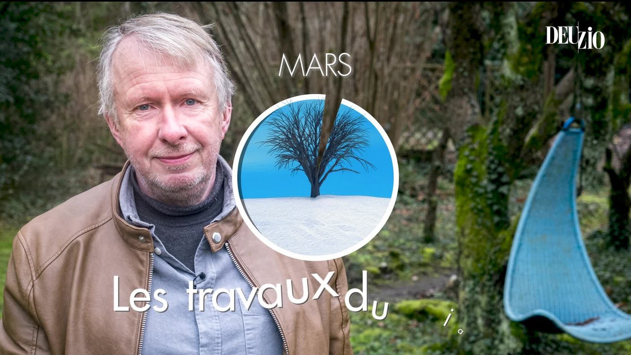 Travaux du jardin - 16 mars 2024 : les cendres de bois, oui mais avec parcimonie