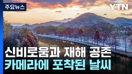 신비로움과 재해의 공존...카메라에 포착된 날씨 / YTN