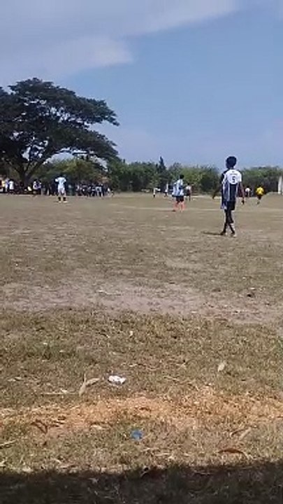 balls