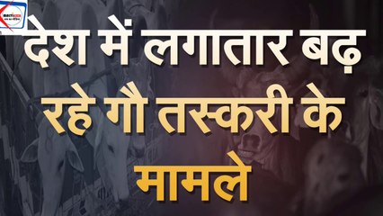 गाय की तस्करी का नया तरीका । अब बस के अंदर भी हो रही गौ तस्करी
