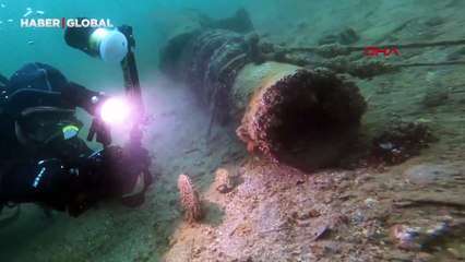 Marmara Denizi'ni bekleyen tehlike: İstila!