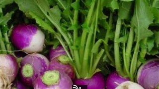 shaljam खाने के हैरान करने वाले फायदे-Surprising Benefits of Beetroot