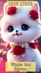 White Cat and red Umbrella