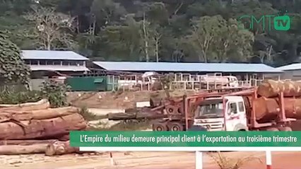 [#Reportage] Gabon : l'empire du milieu demeure le principal client à l'exportation au 3e trimestre