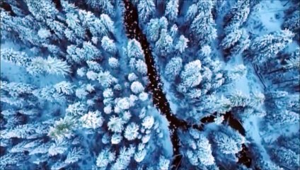 Songe d'une nuit d'hiver