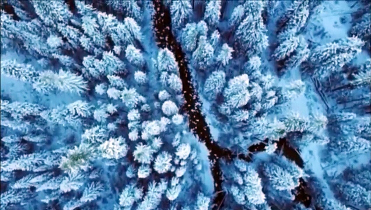 Songe d'une nuit d'hiver