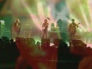 Marshmallow - Des palmiers sur ton uniforme